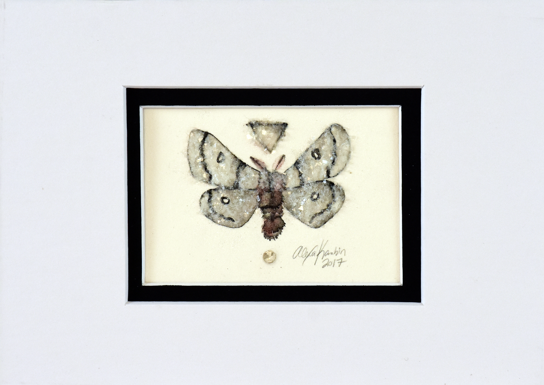 2018moth2-5.jpg