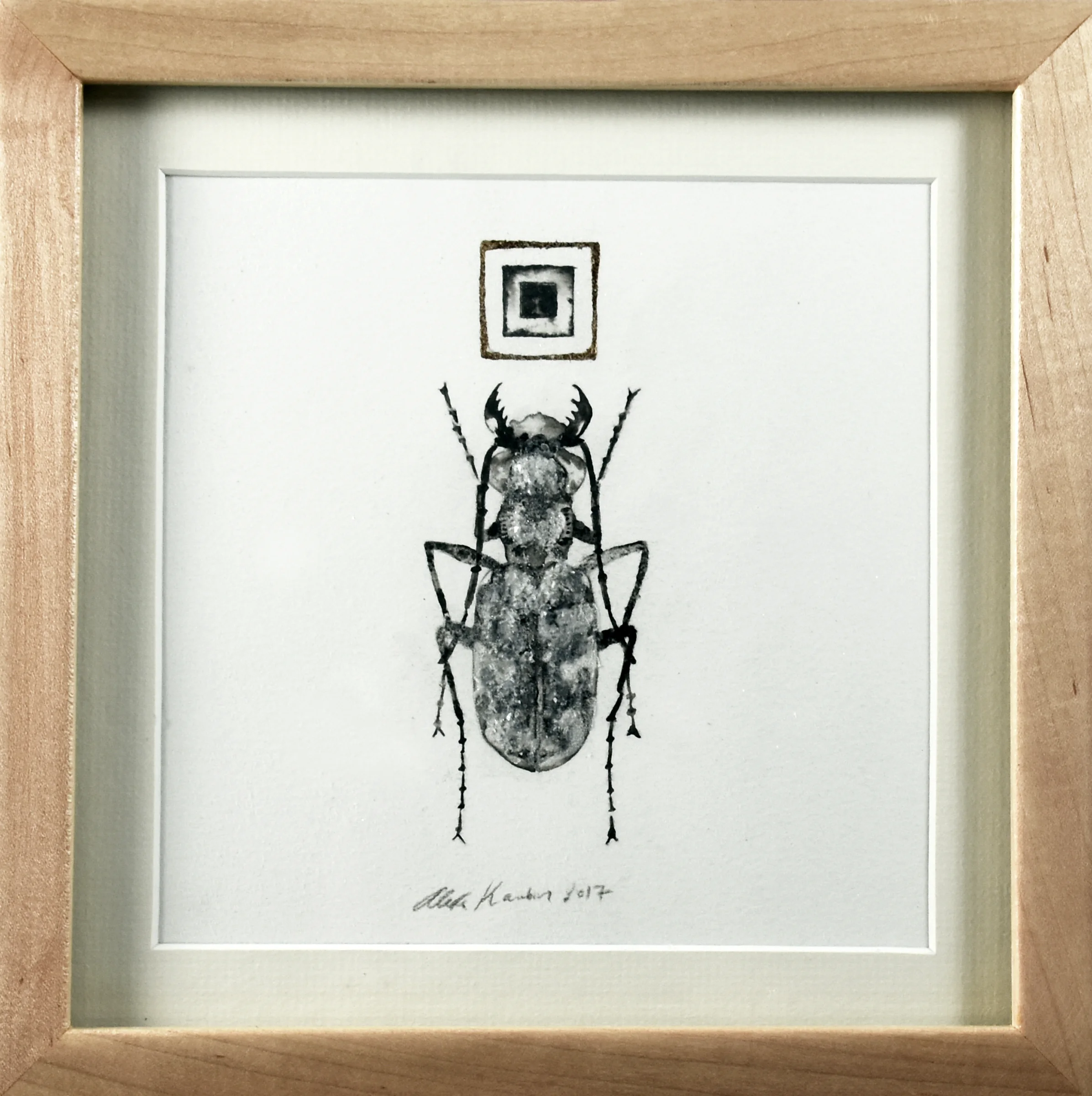 beetle2.jpg