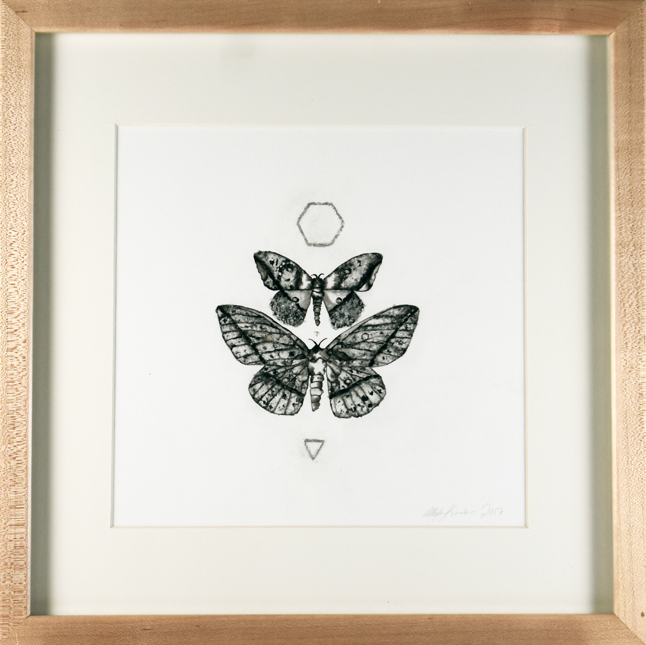 Butterfly Frame 13