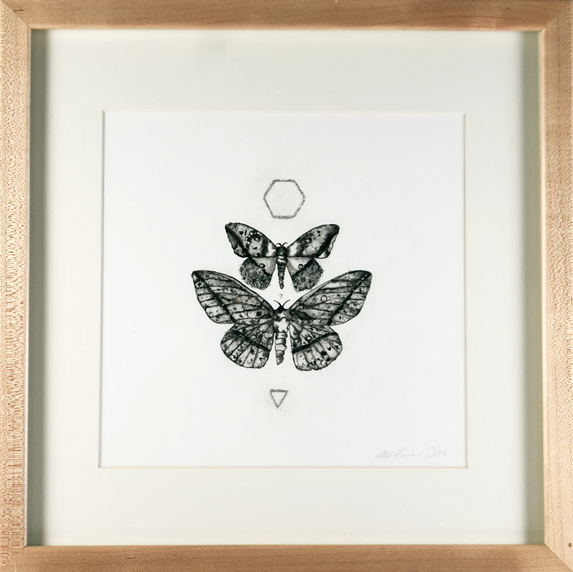 Moth2.jpg