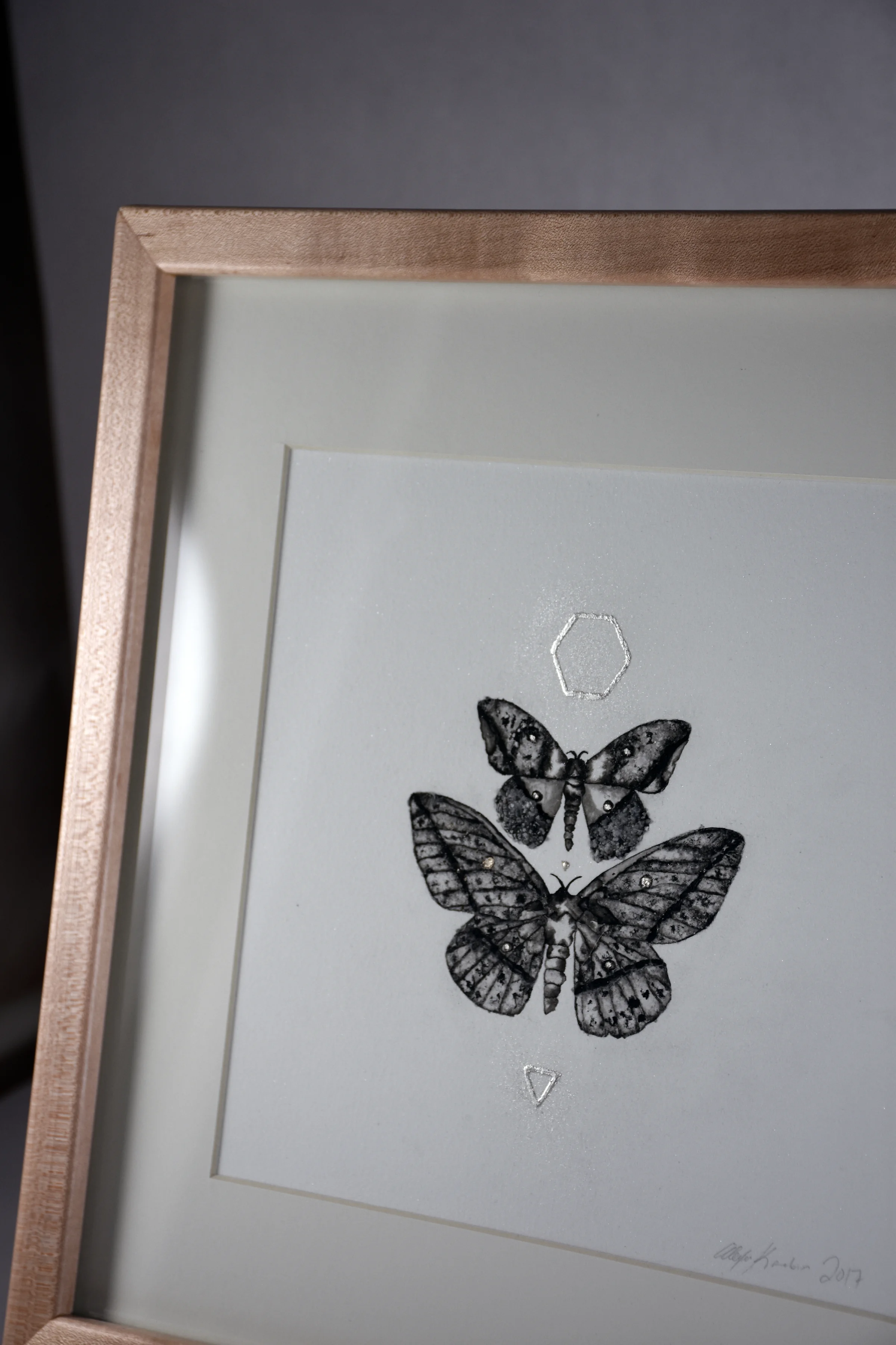 moth4.jpg