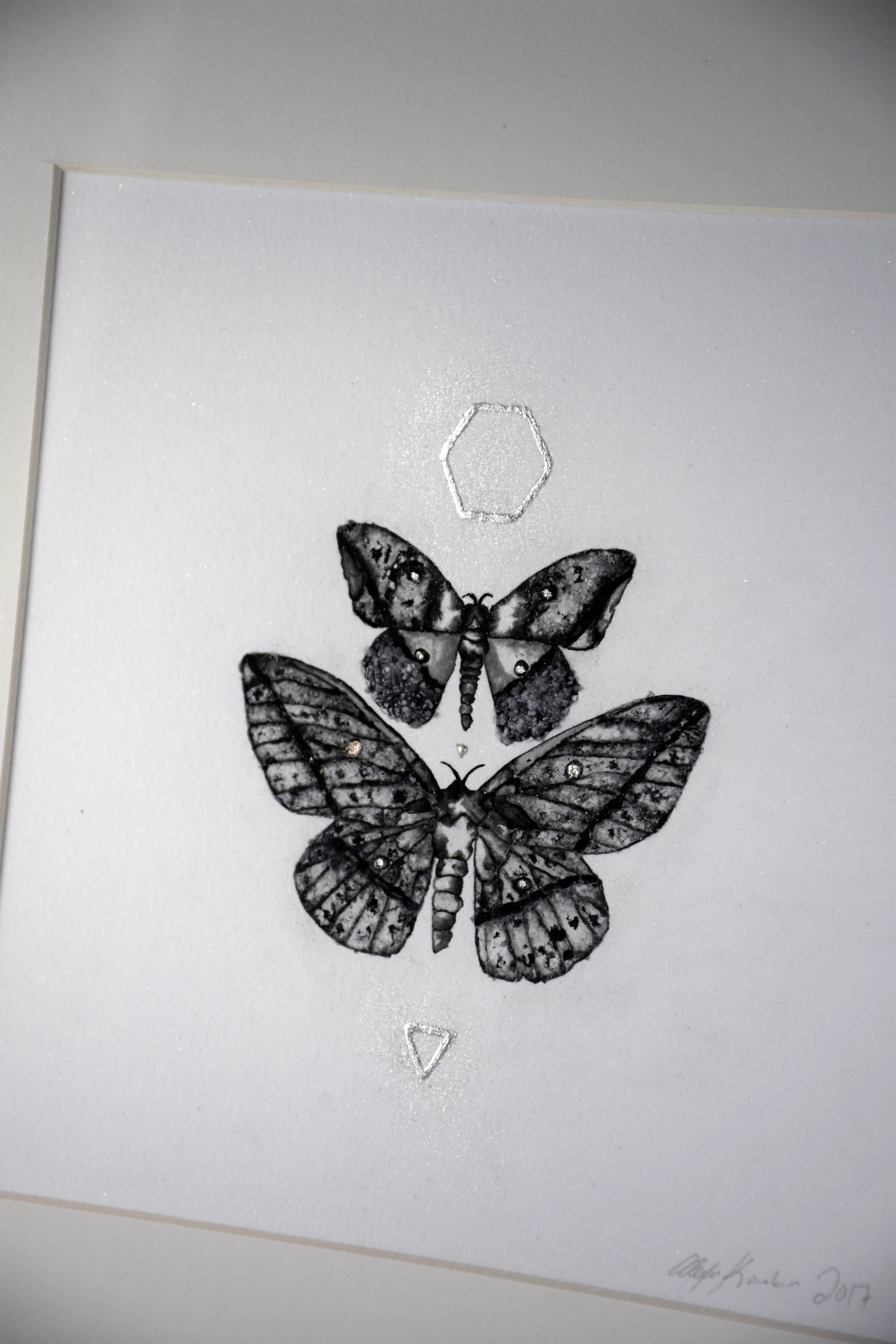 mothdetail3.jpg