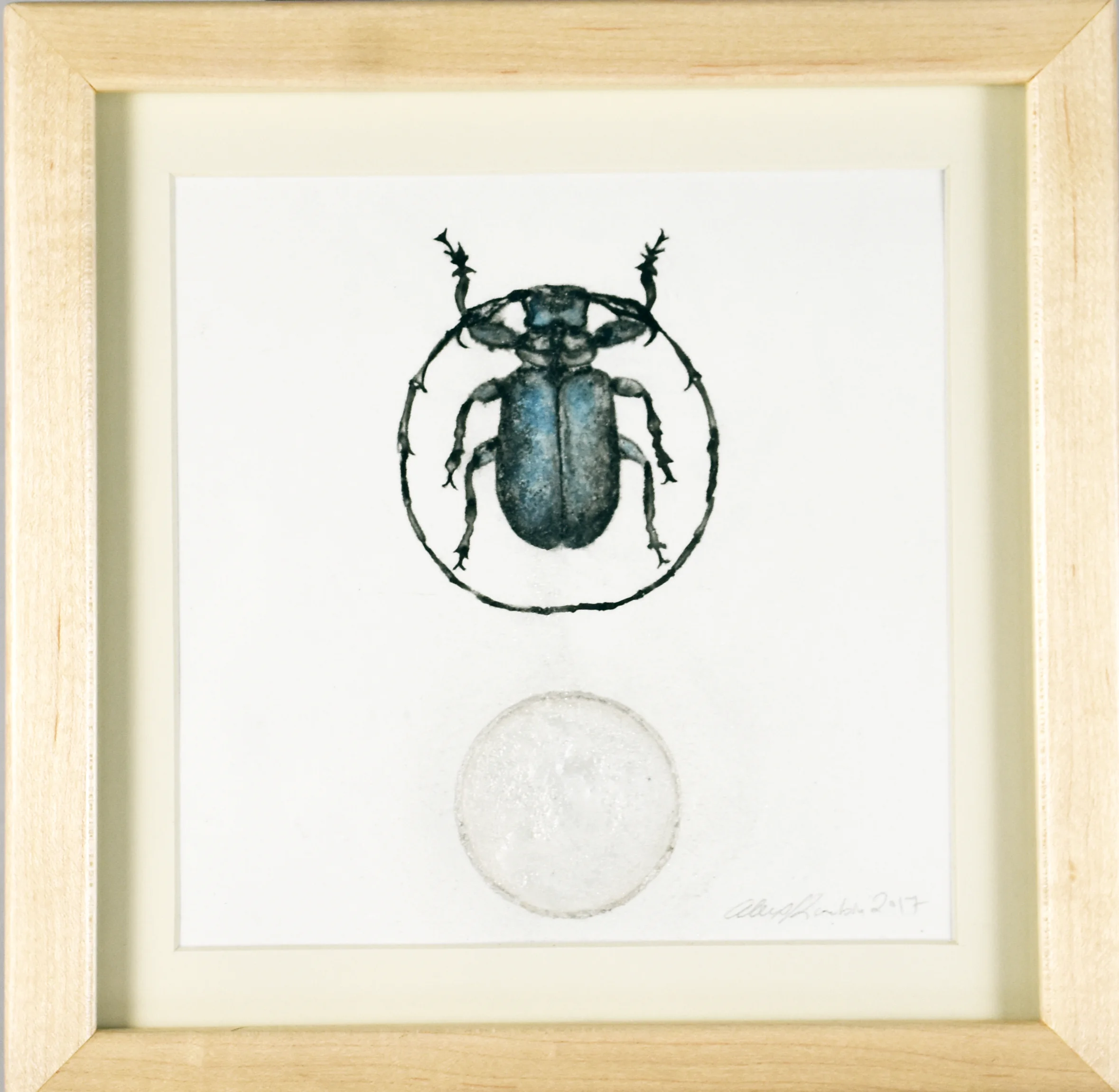 BEETLE5.jpg