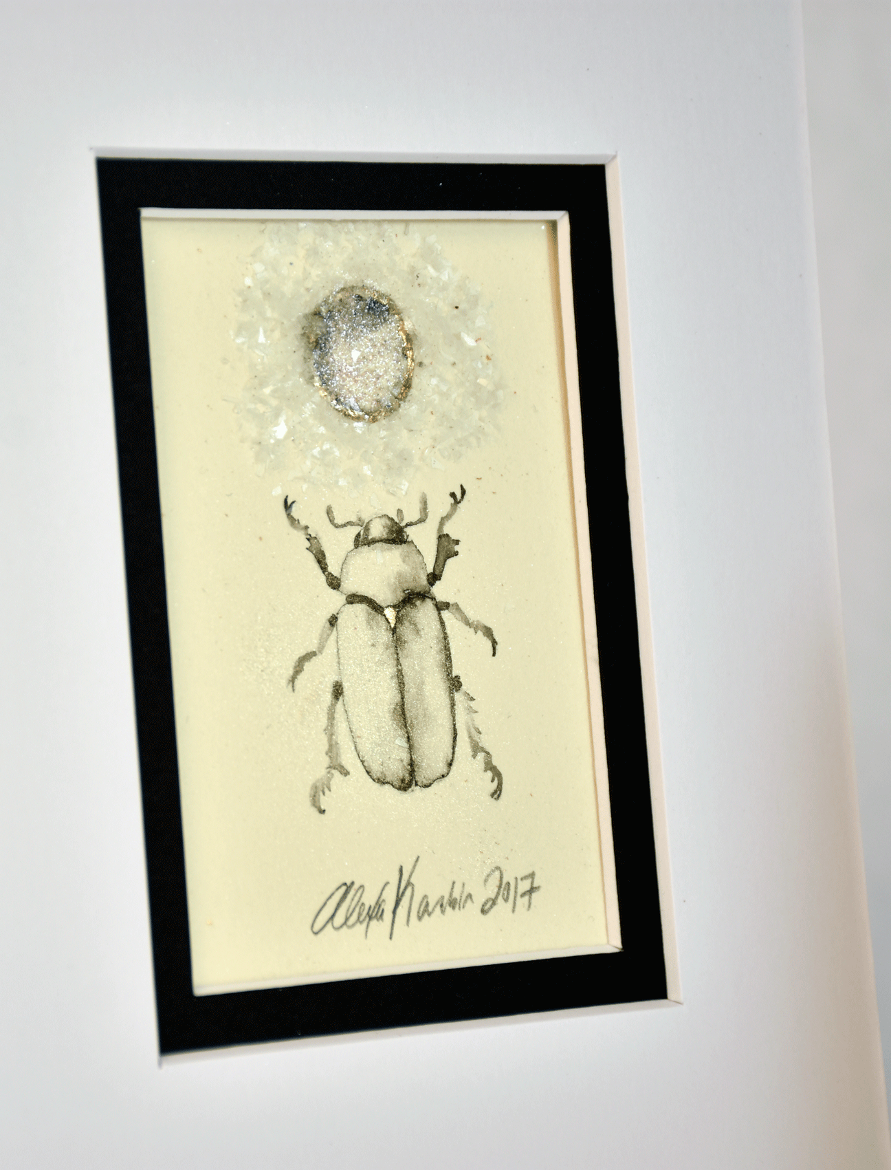 coolbeetle4.gif
