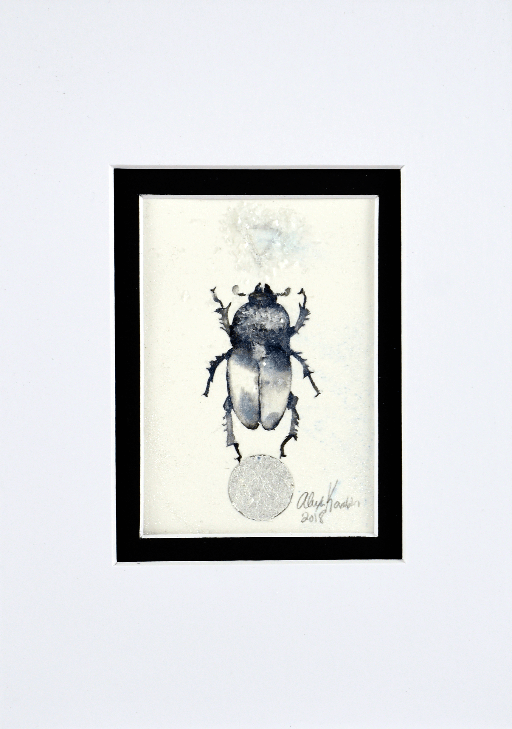 beetle3-1.gif