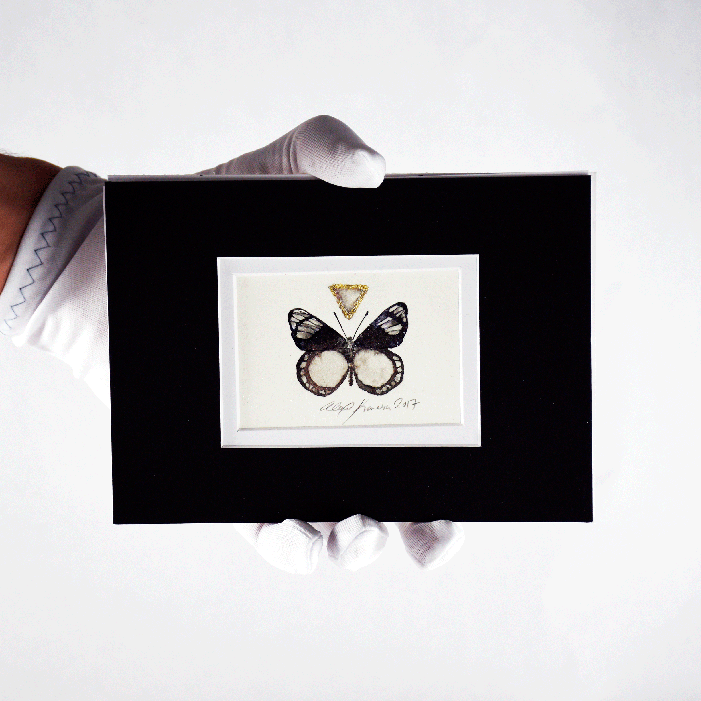 Butterfly20181web.gif