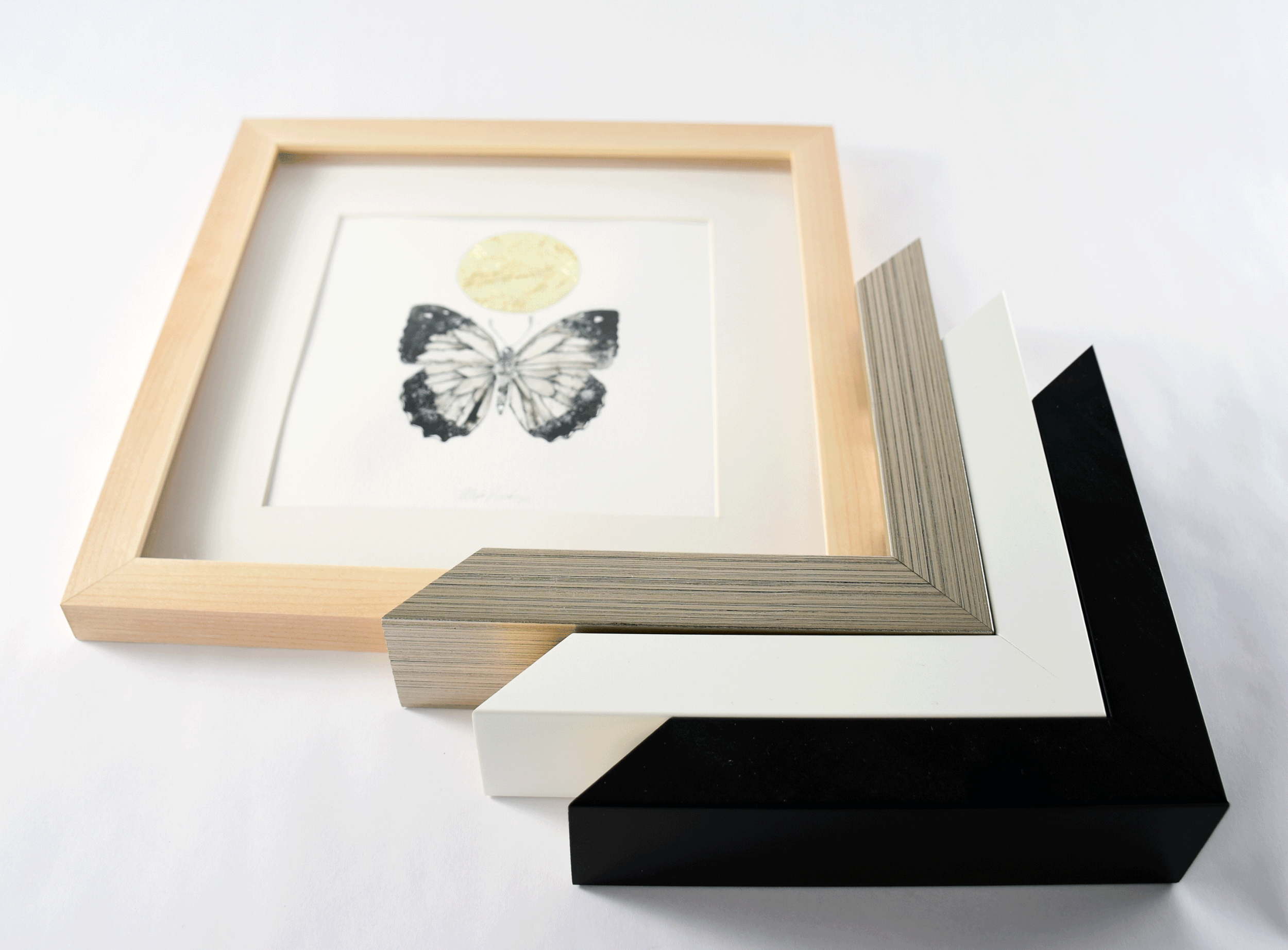 2018-butterfly5.gif