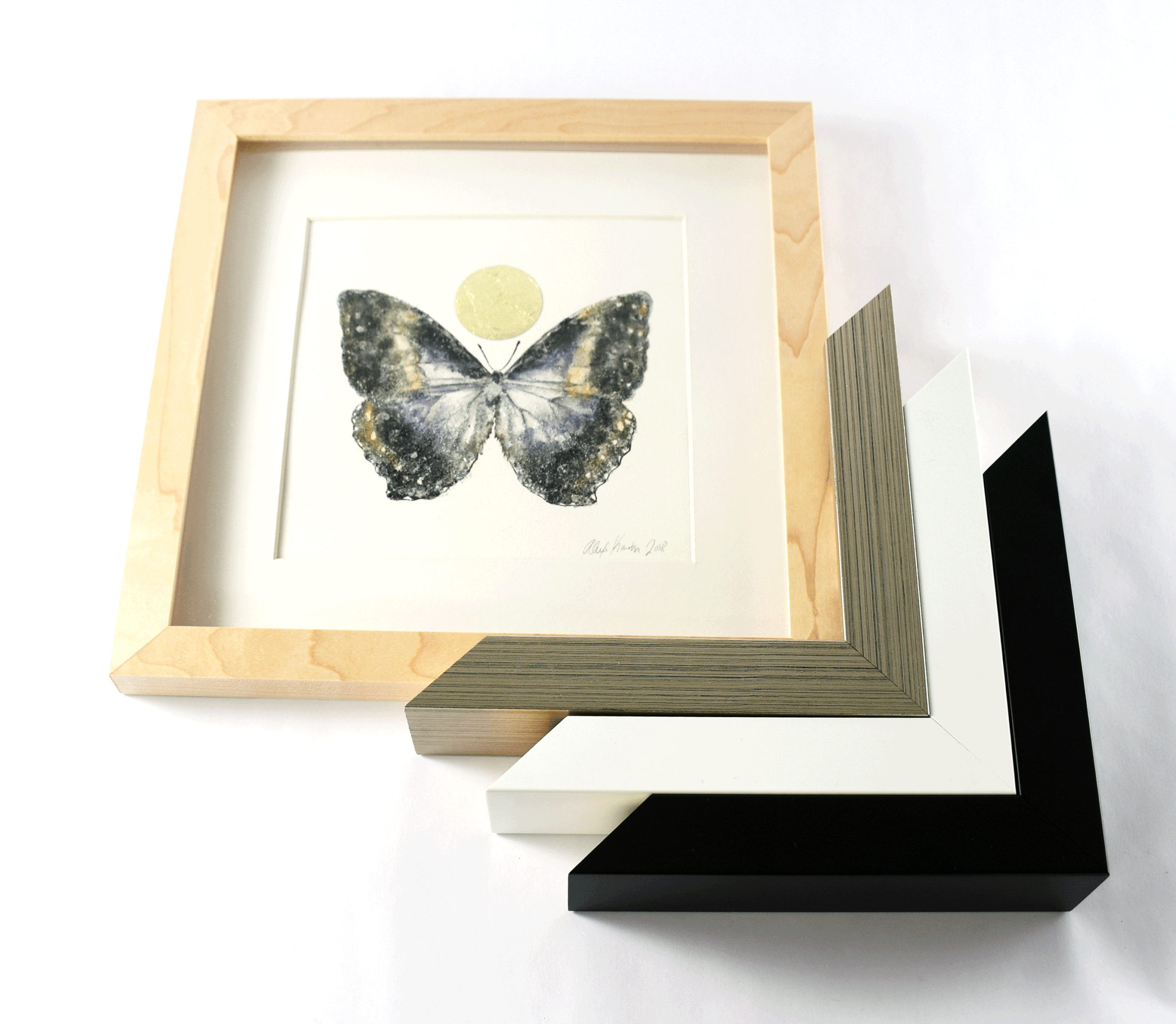butterfly2-4.gif