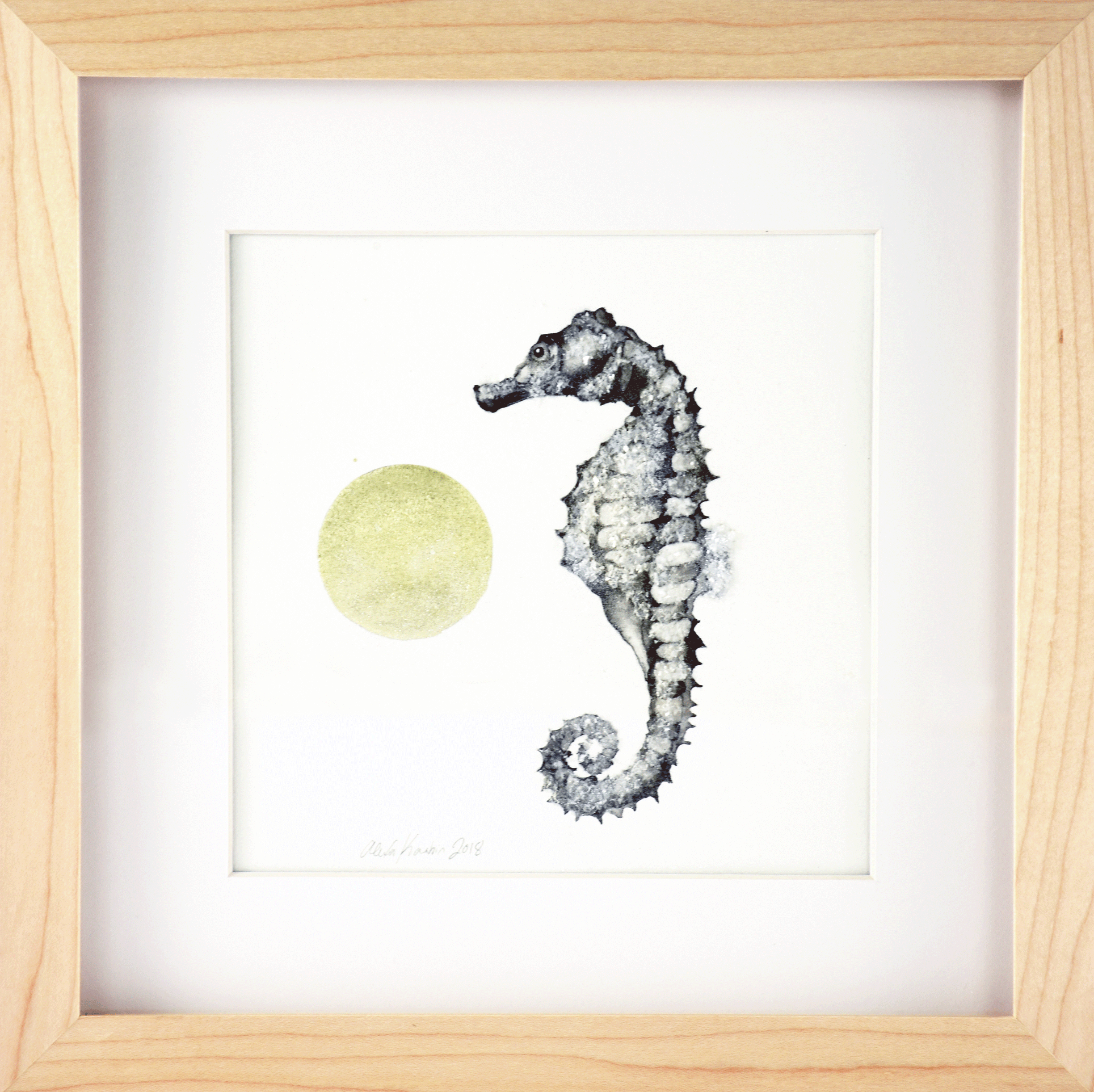 seahorse1.gif