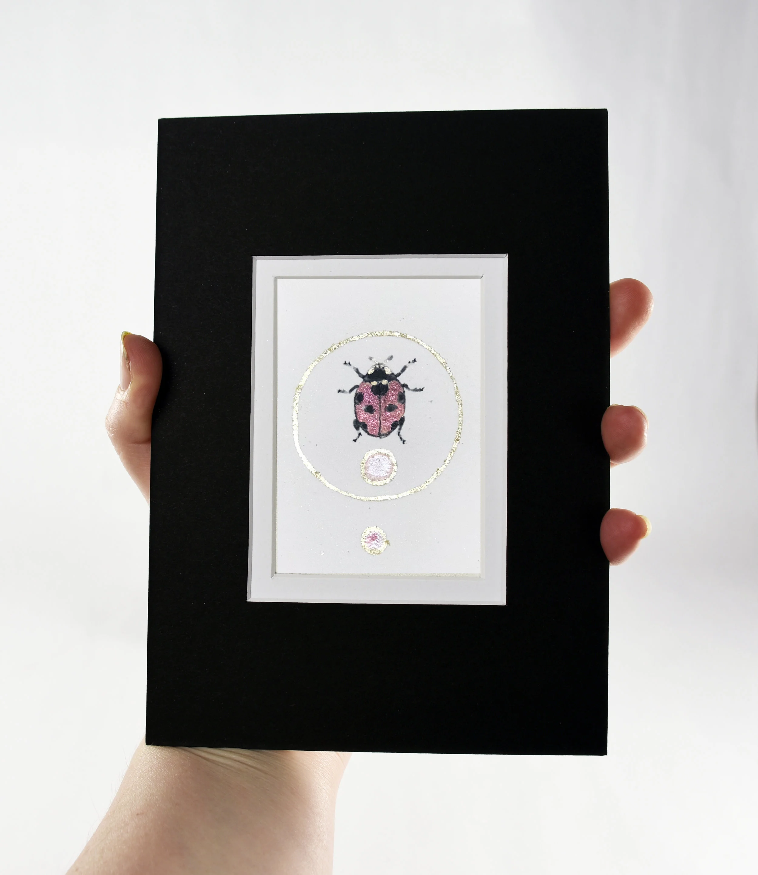 2018ladybug1.jpg