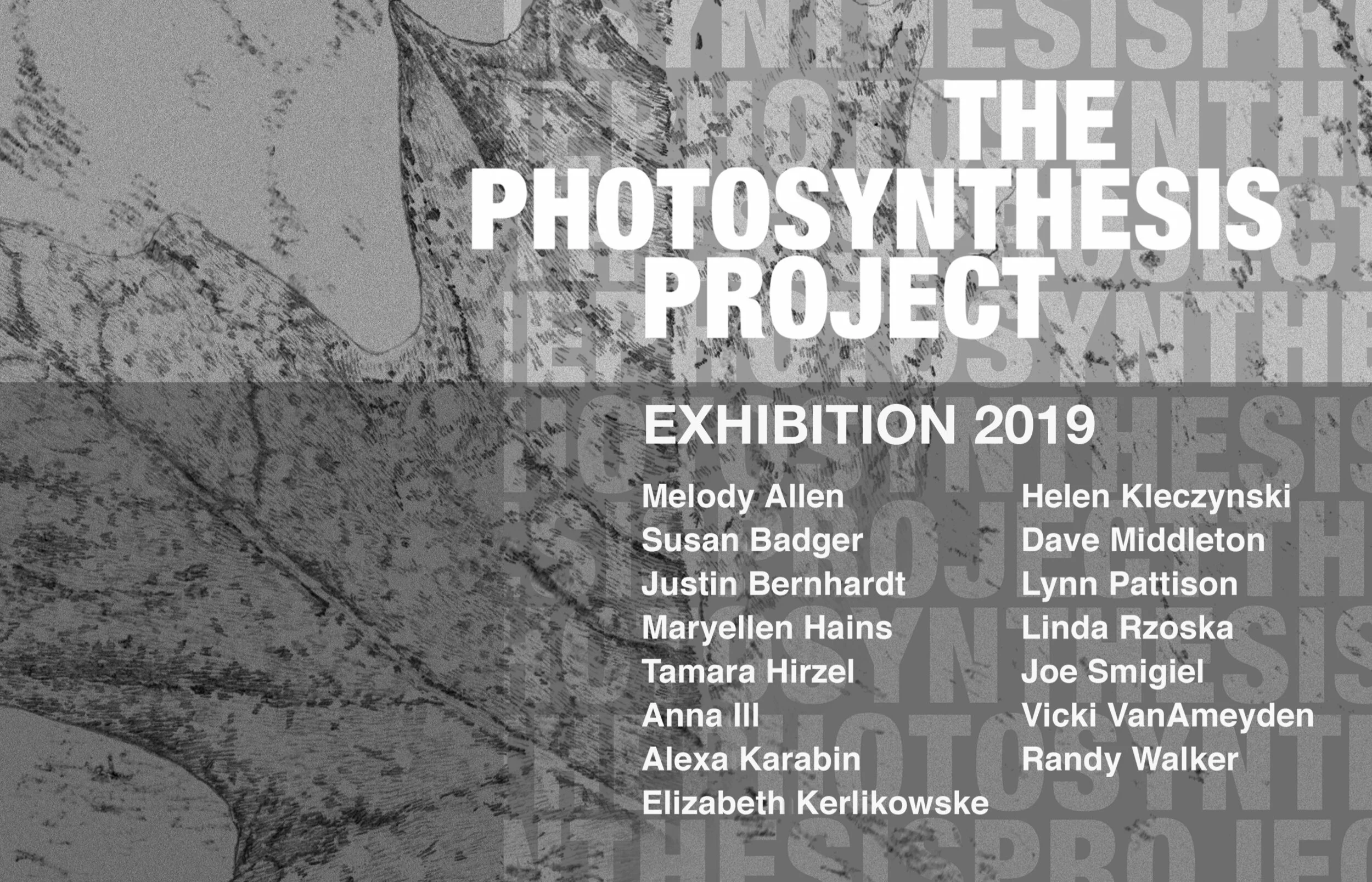 Photosynthesis Exhibition Card1.jpg