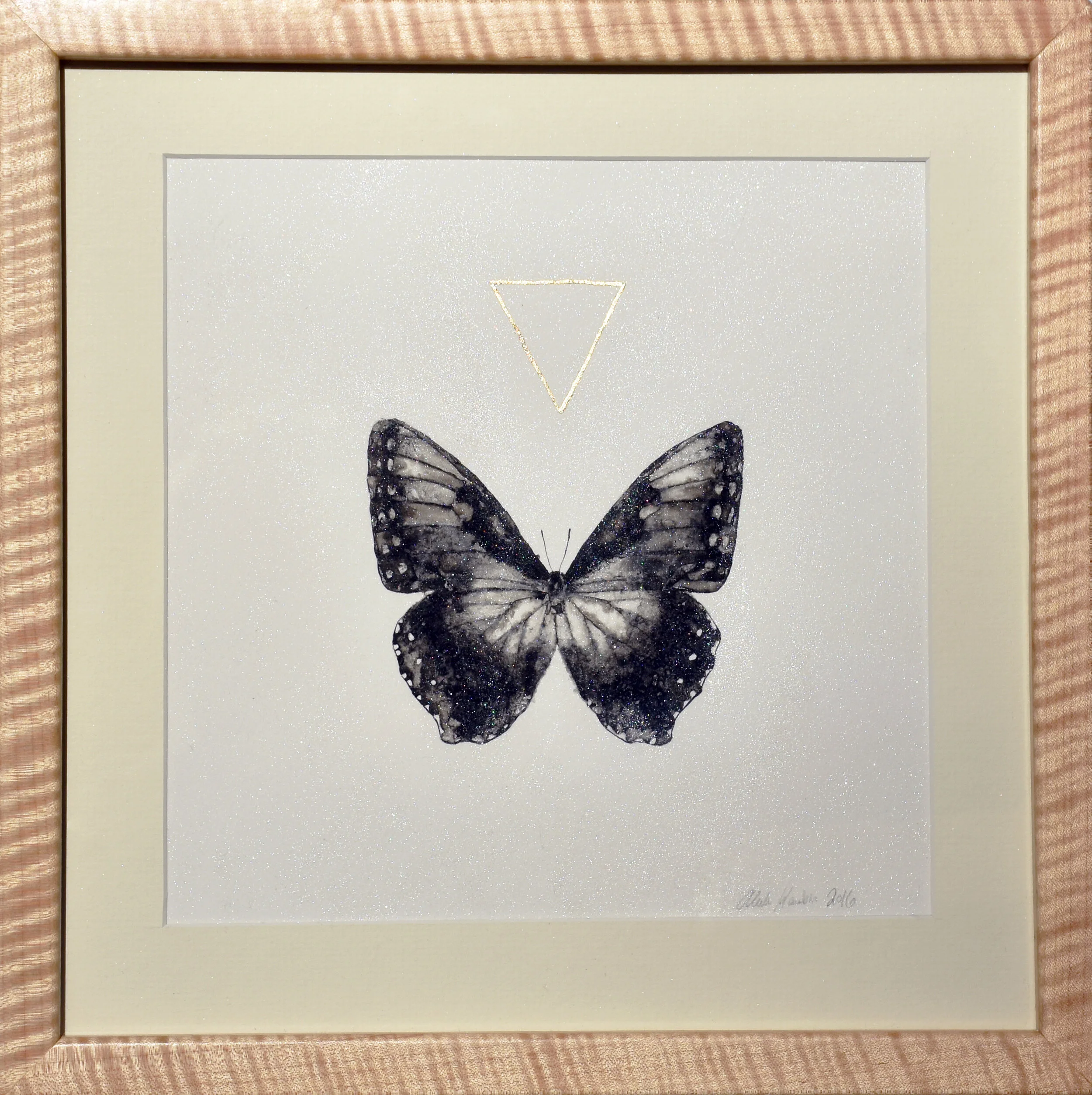 Morpho-new1-1.jpg