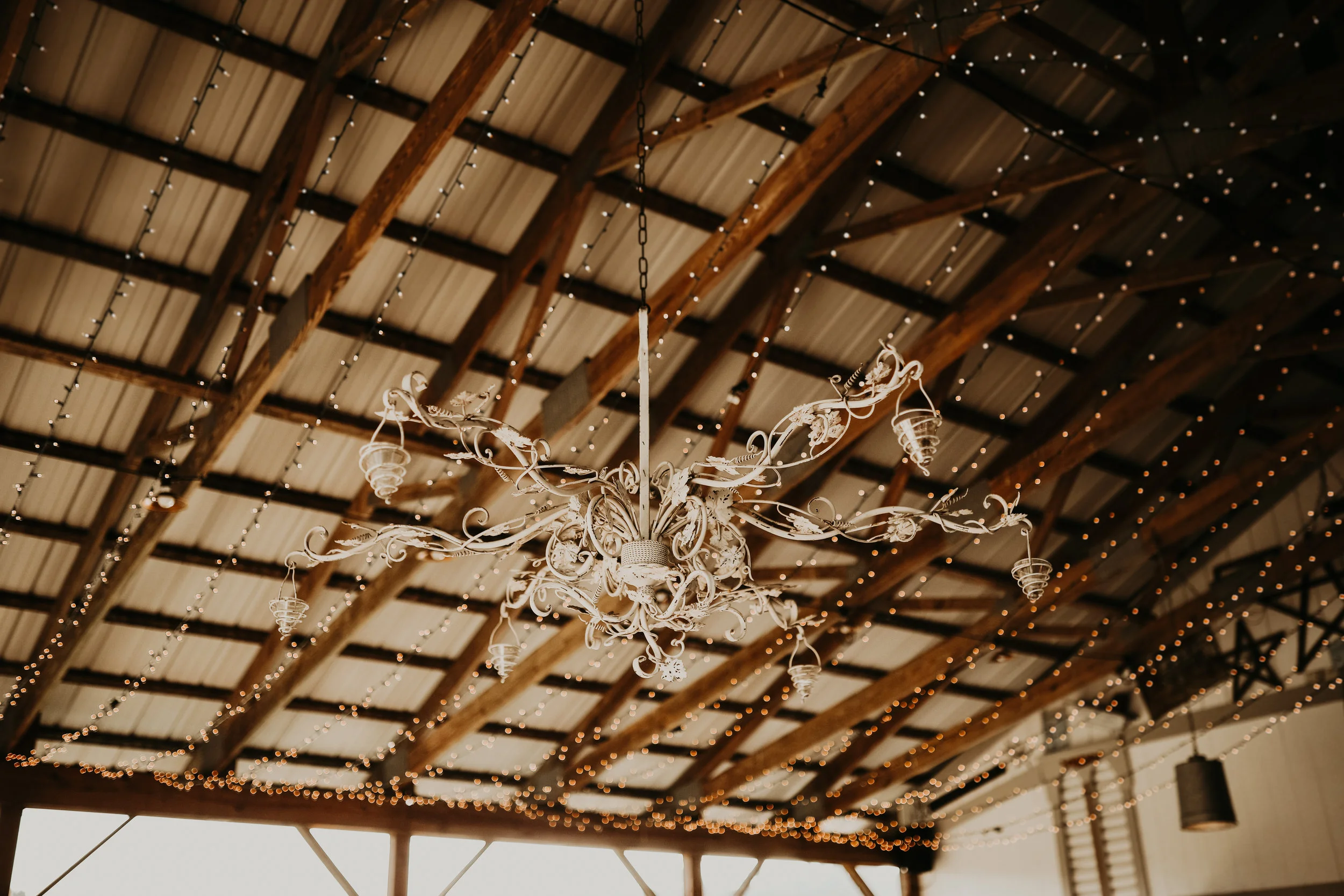 Caitlin + Dan Wedding 204 (1 of 1).jpg