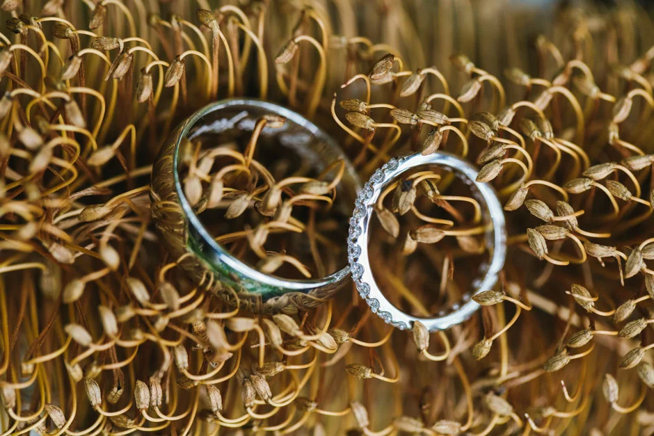 DamienJess0051fig_tree_byron_bay_wedding.jpg