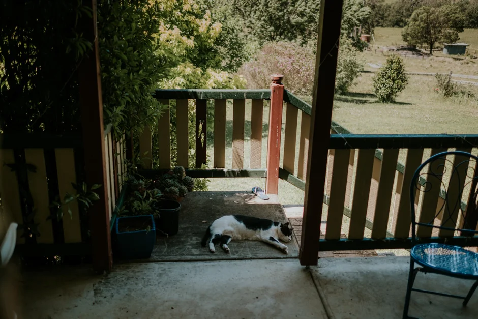MattSteph0116a.jpg