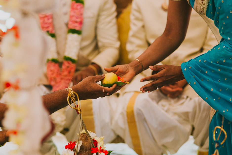 SaraniyaVishnu0499c.jpg