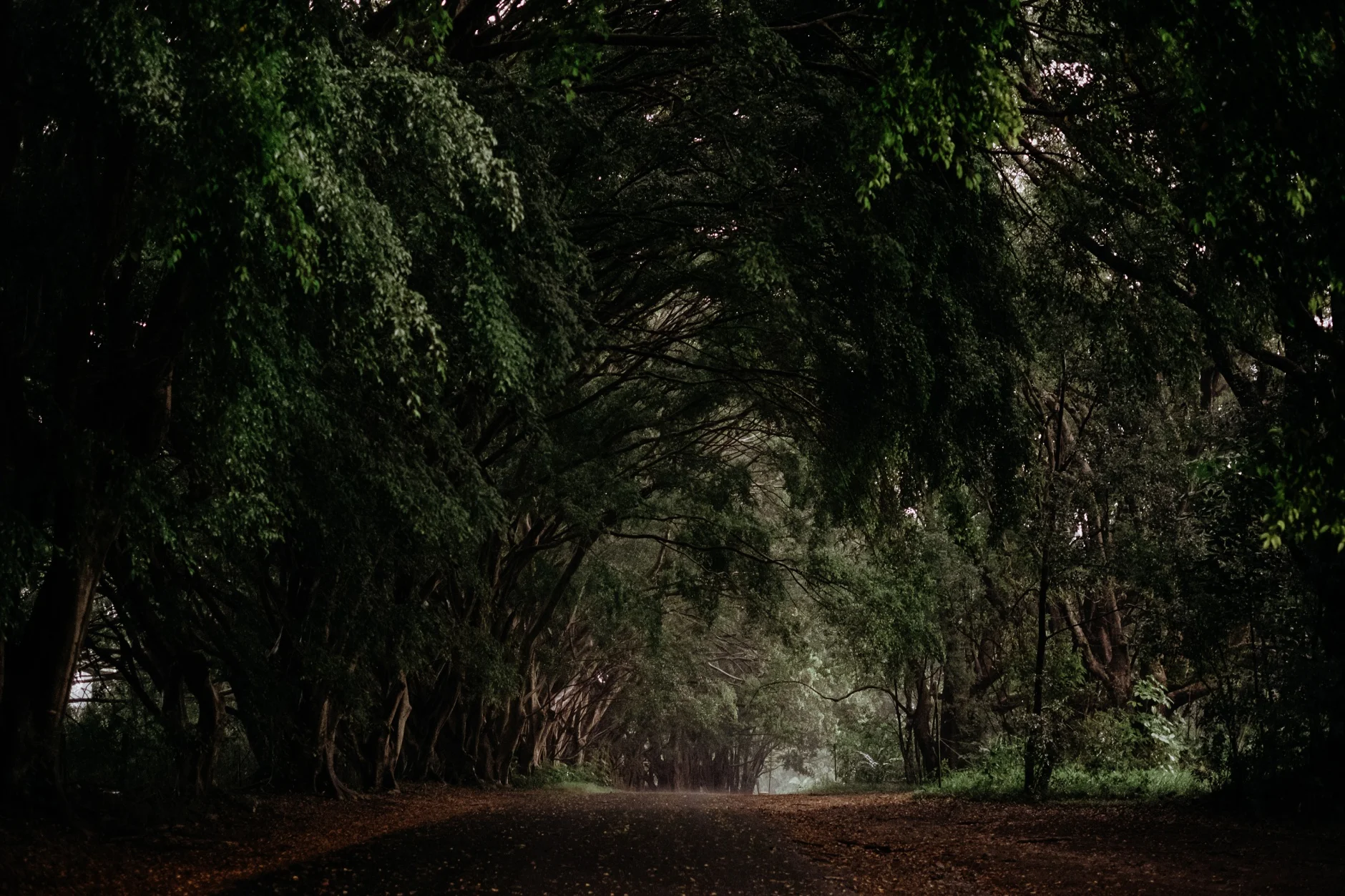 ant&sarah0530a_Byron-Bay-Wedding.jpg
