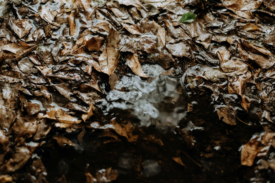 ant&sarah0530a_Byron-Bay-Weddingb.gif