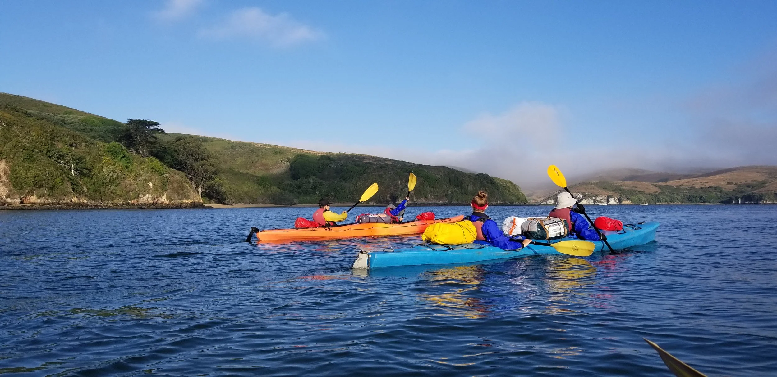 20190717_074810 copy.jpg