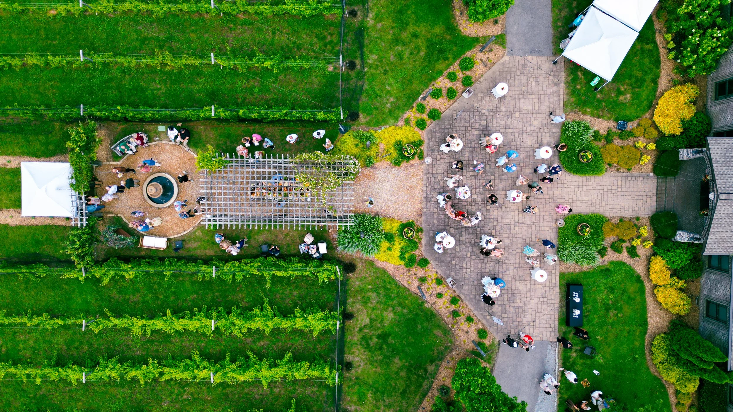 DJI_0561.jpg