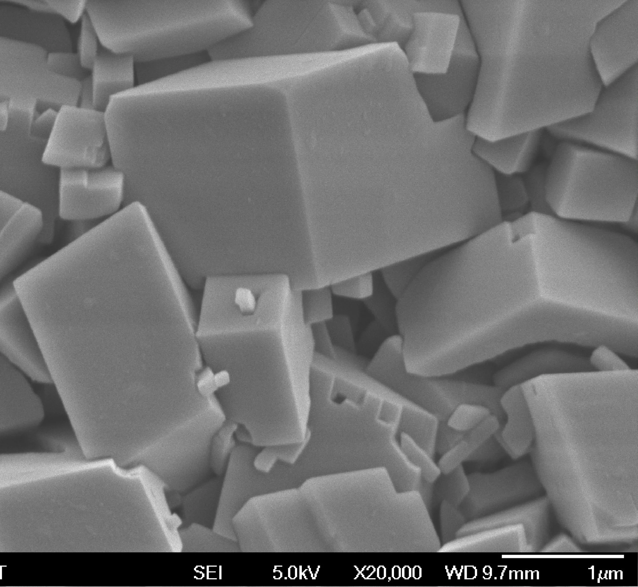 edited.jpg