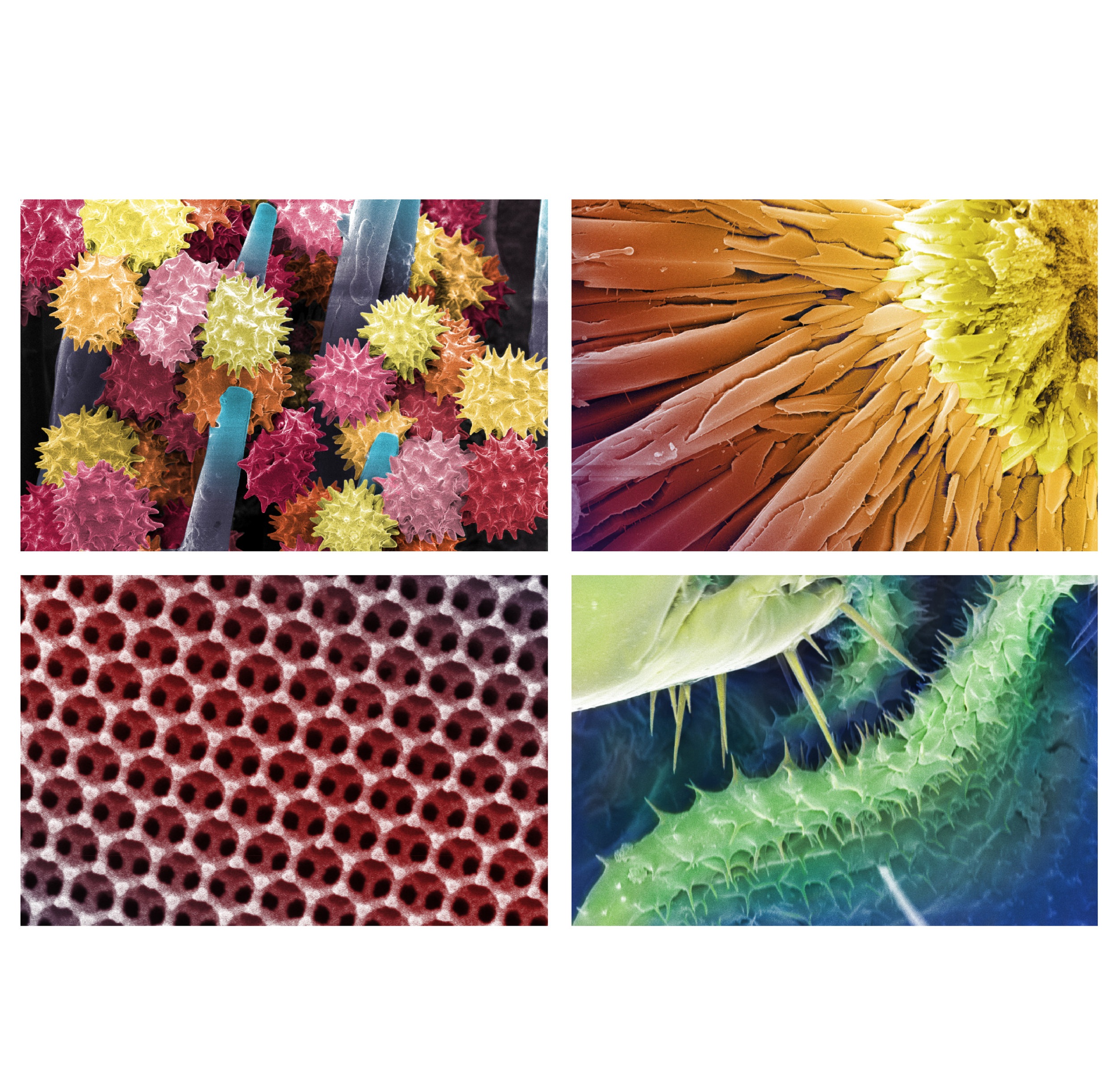 sem photos-01.jpg
