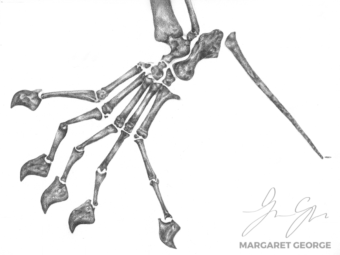 Scan-150630-0001-7.jpg