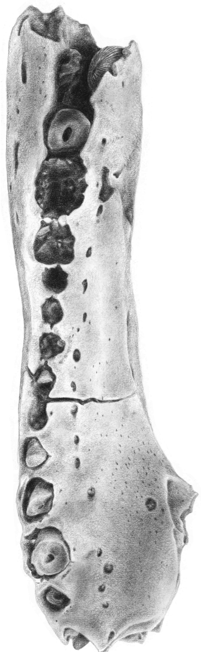 Screen Shot 2019-01-25 at 4.58.41 PM.png