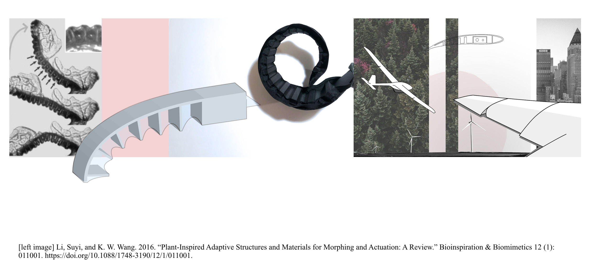 Screen Shot 2019-10-07 at 9.25.56 AM.png