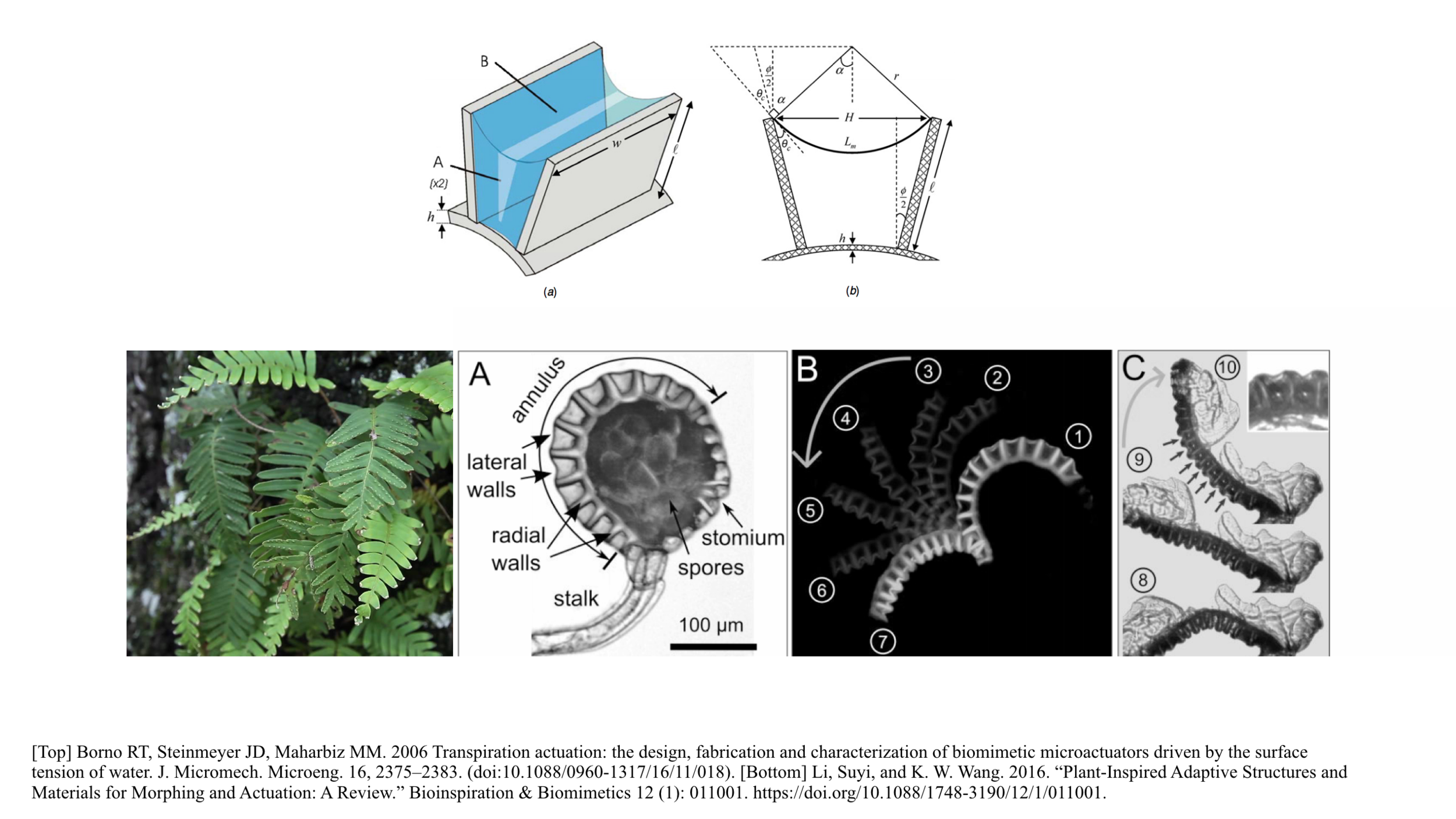 Screen Shot 2019-10-07 at 9.23.24 AM.png