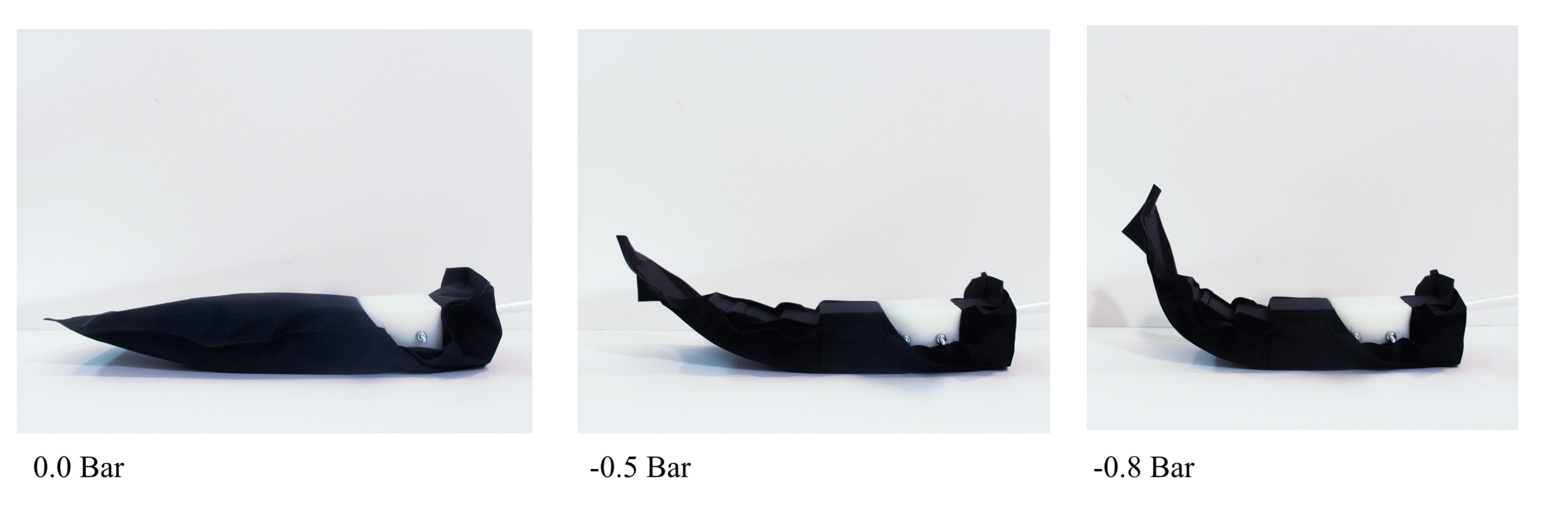 Screen Shot 2019-10-07 at 9.25.07 AM.png