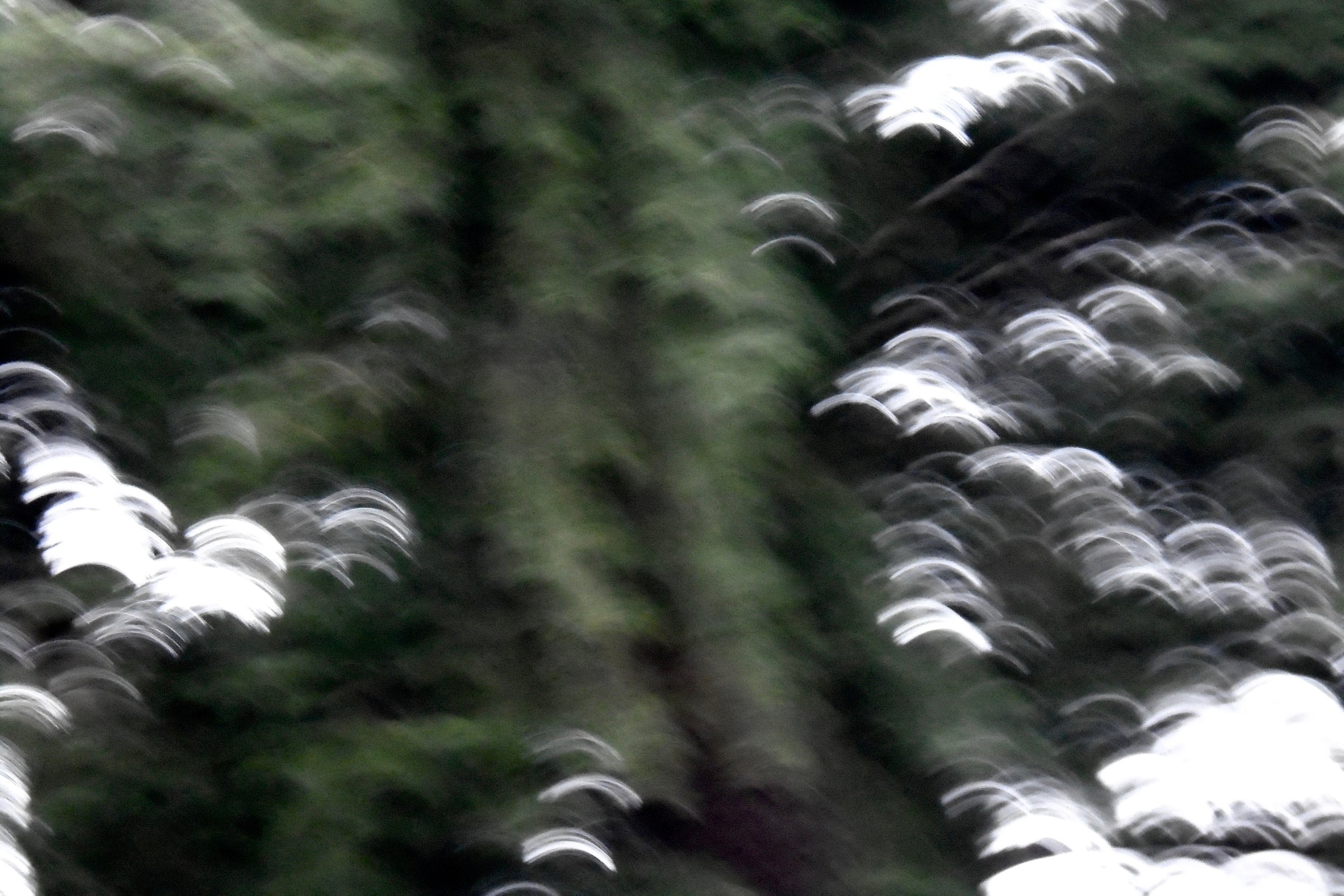 DSC01125.jpeg