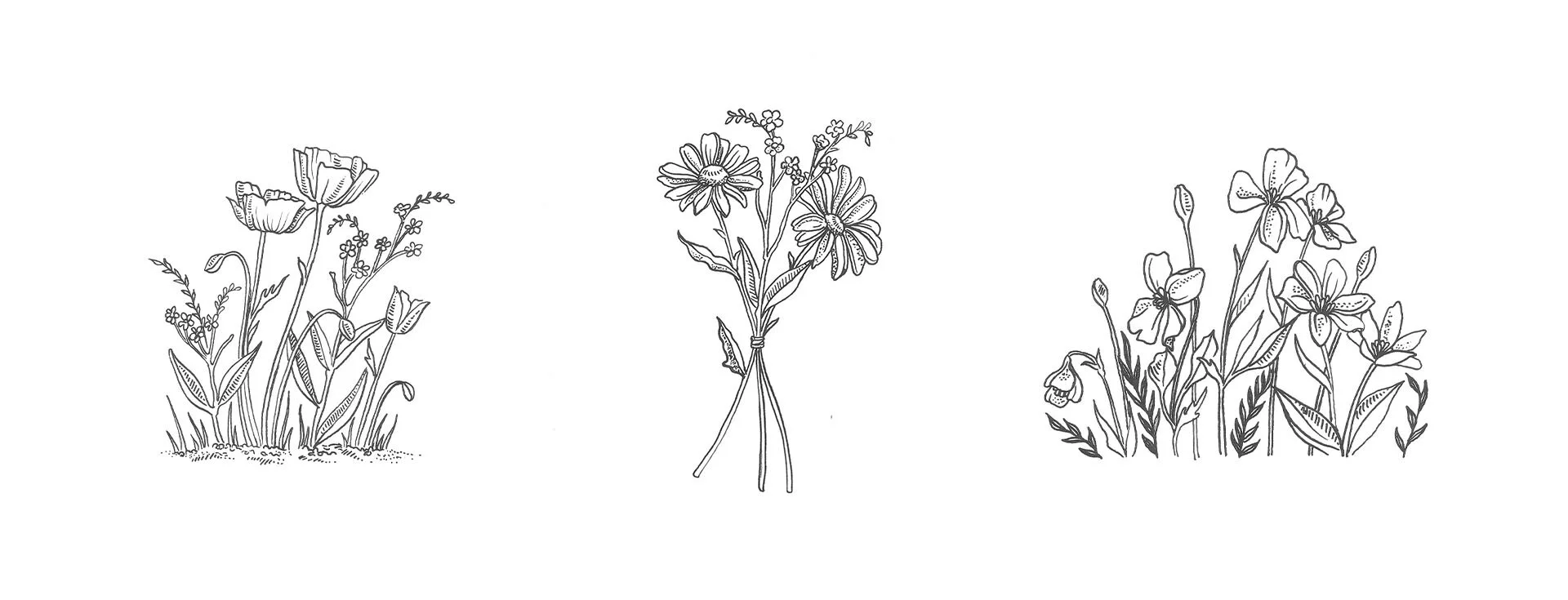 Hand drawn florals