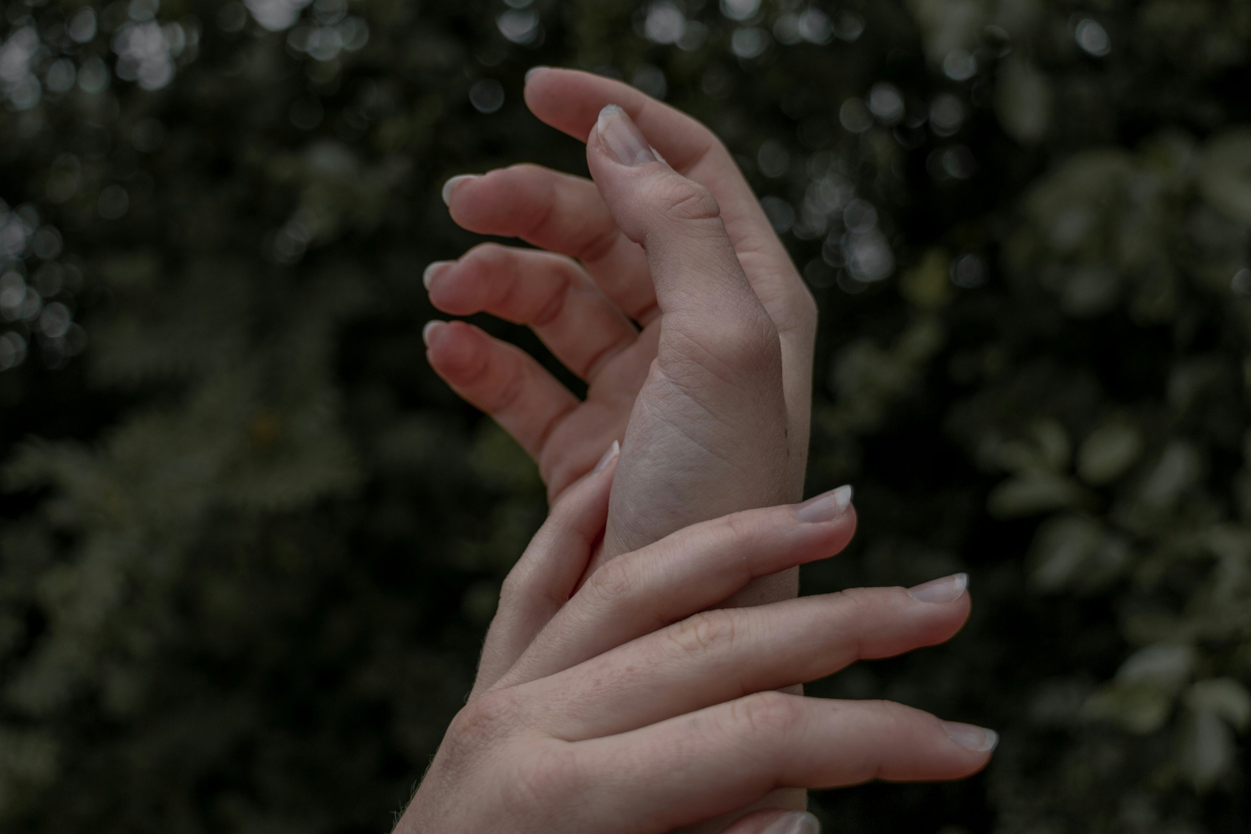 A portrait of two hands with leaves in the background