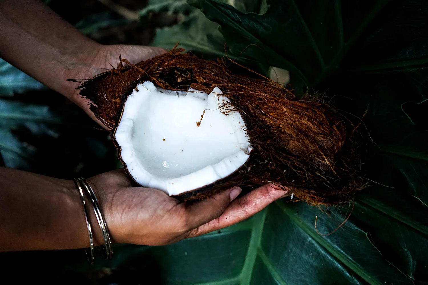 resized coconut image.jpg