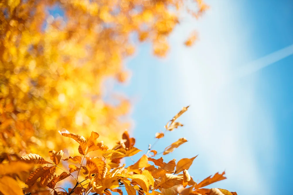 Lenox, Massachusetts is a perfect destination for spa pampering and outdoor adventures.