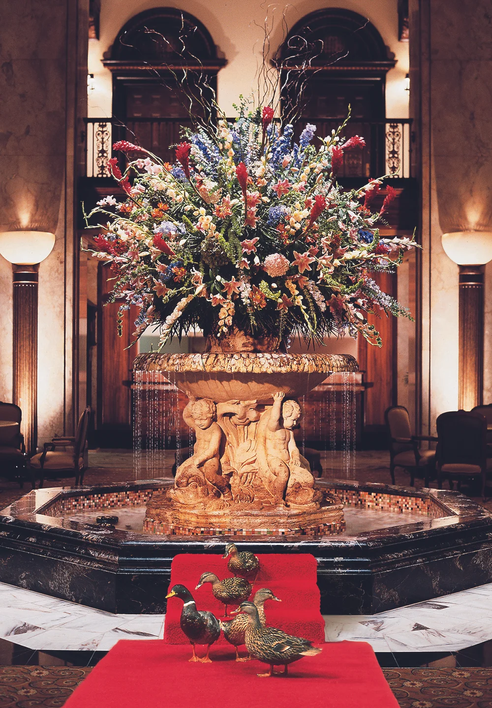 resized Peabody Ducks.jpg