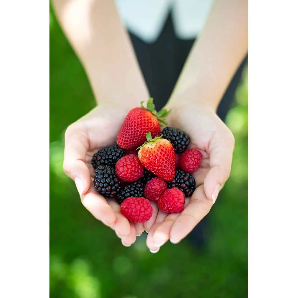 Living Well lectures teach guests how to better themselves by eating well and establishing healthy habits.