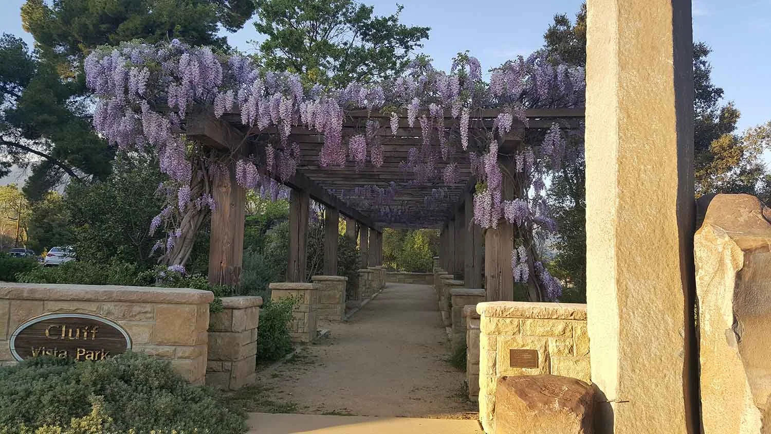 Flowers in bloom in Ojai.
