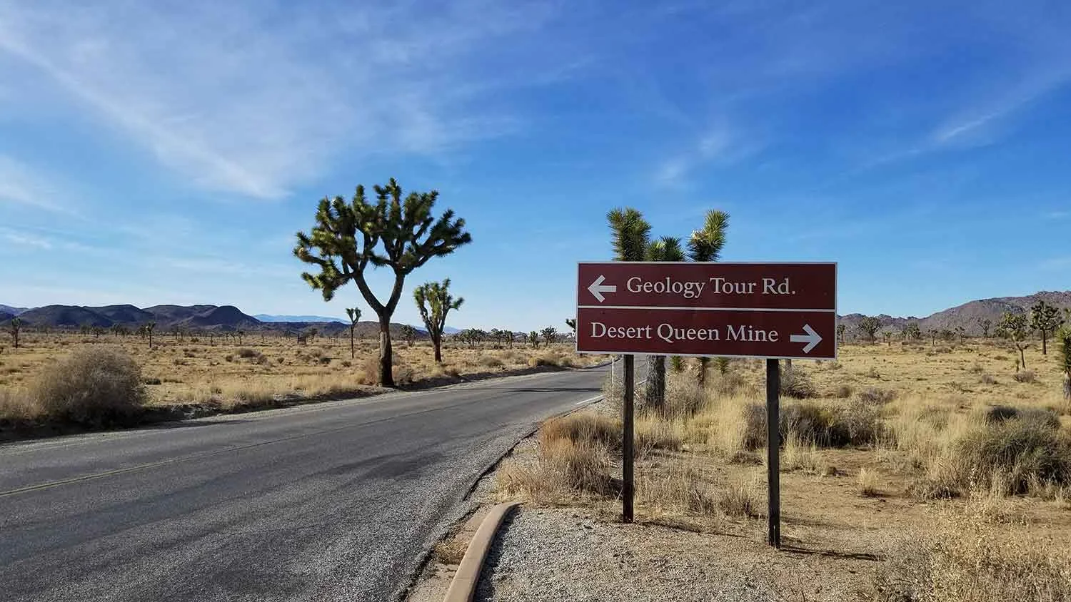Desert Queen Mine is a popular destination in Joshua Tree National Park.