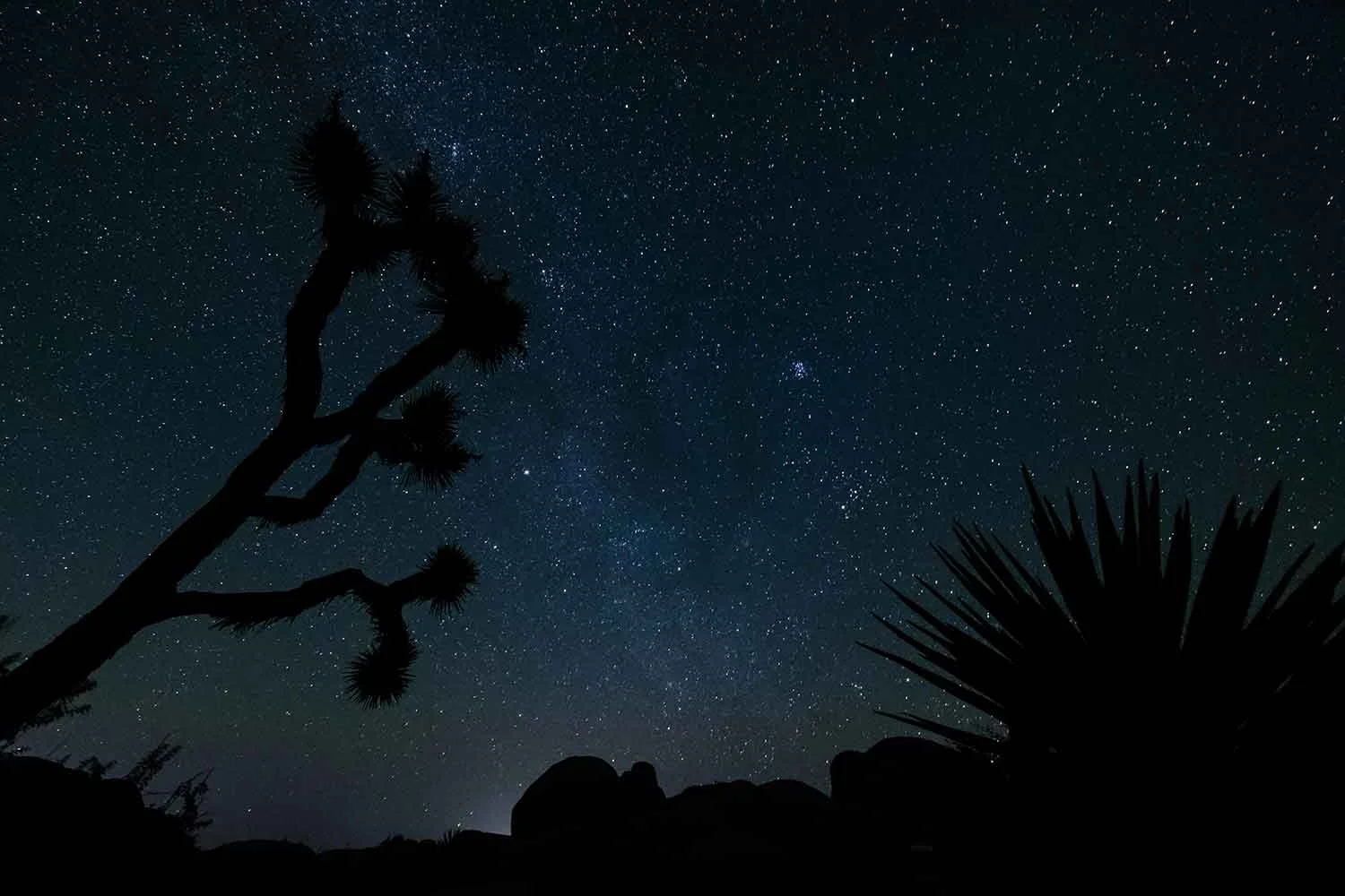 A night sky filled with stars in Joshua Tree National Park.