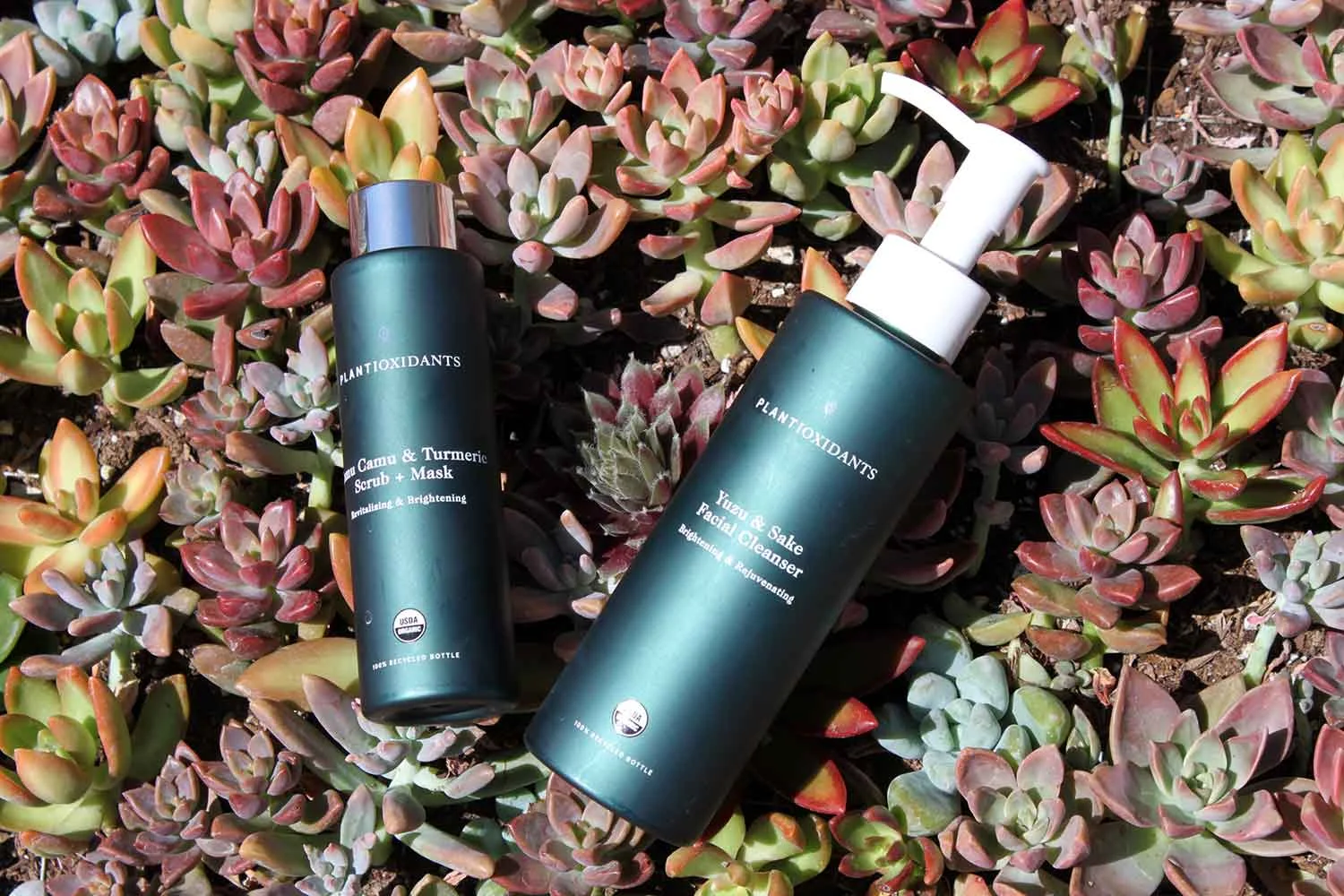 Plantioxidants Rejuvenating Cleanser and Exfoliating & Brightening Treatment.