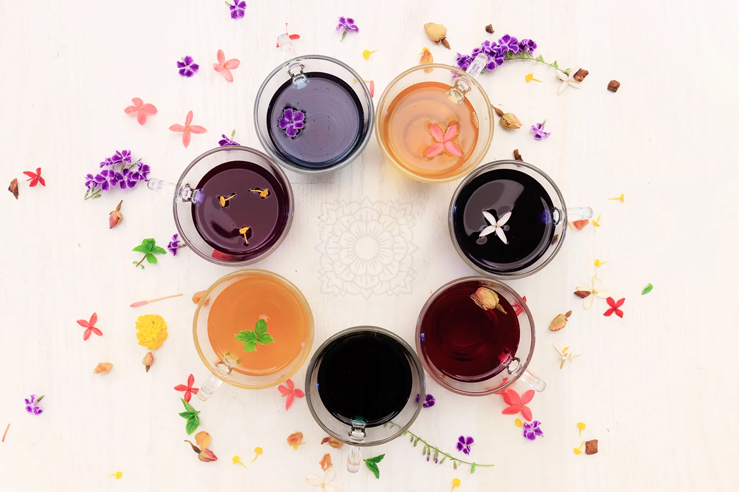 The renowned seven-step Water Ceremony has added Tea Forte tea shots to its experience.