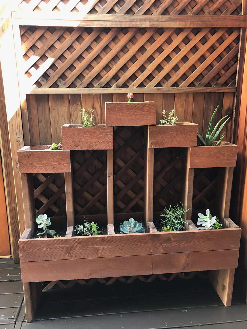 The outdoor patio includes a pretty succulent display!