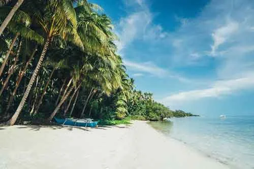 Top 5 Natural Skin Care Ingredients from the Tahitian Islands