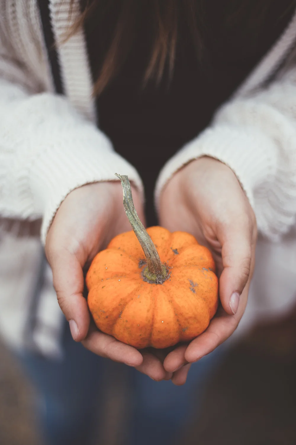Fall Bounty: 10 Pumpkin Beauty Products You'll Fall in Love With