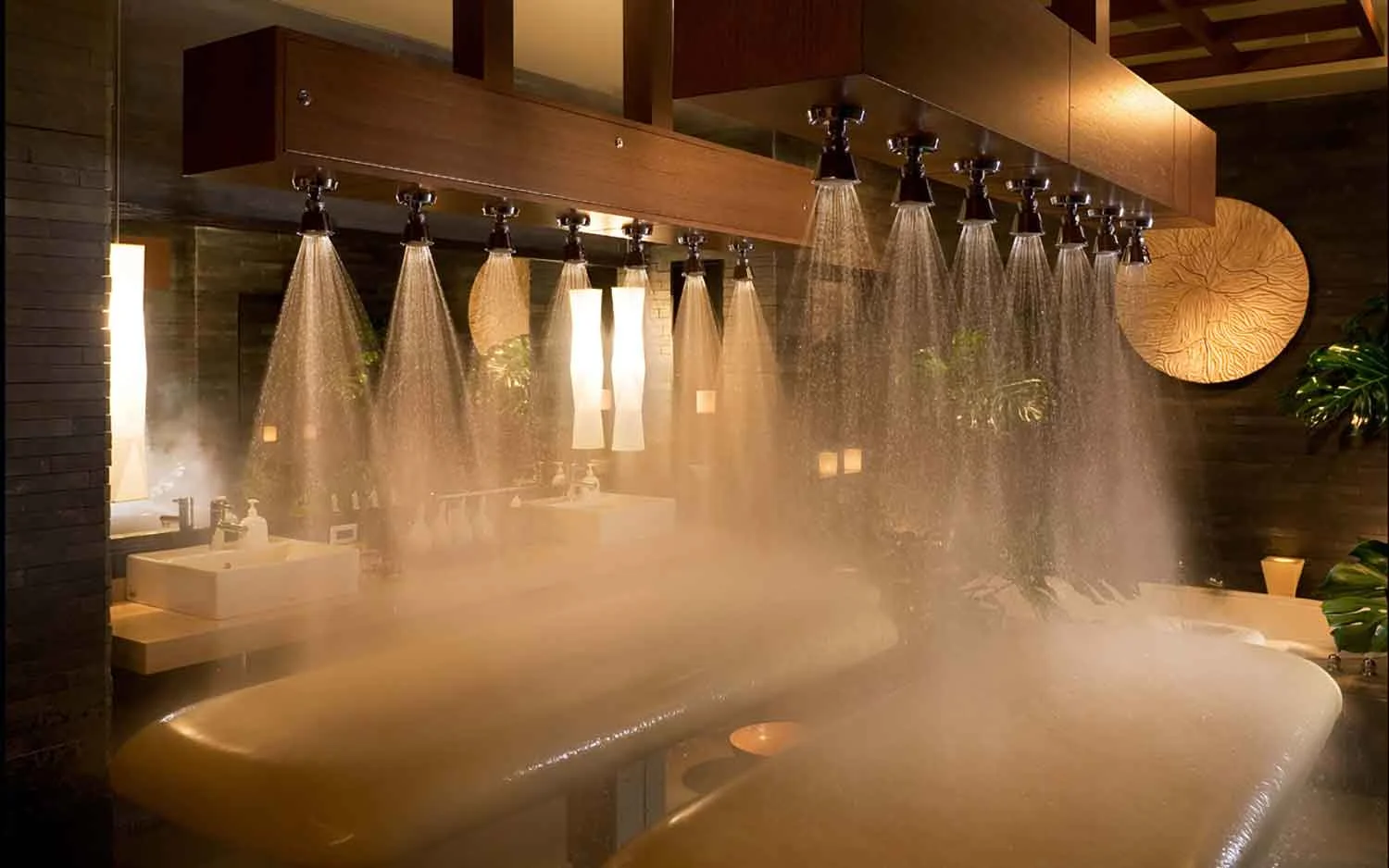 The spa’s Vichy shower.