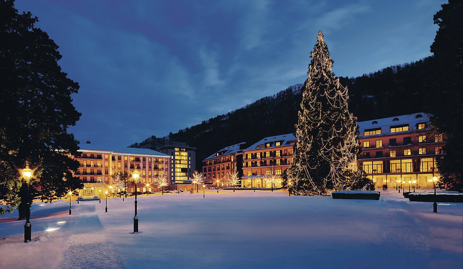 Celebrate the World's Tallest Living Christmas Tree With a Tree-Inspired Spa Treatment
