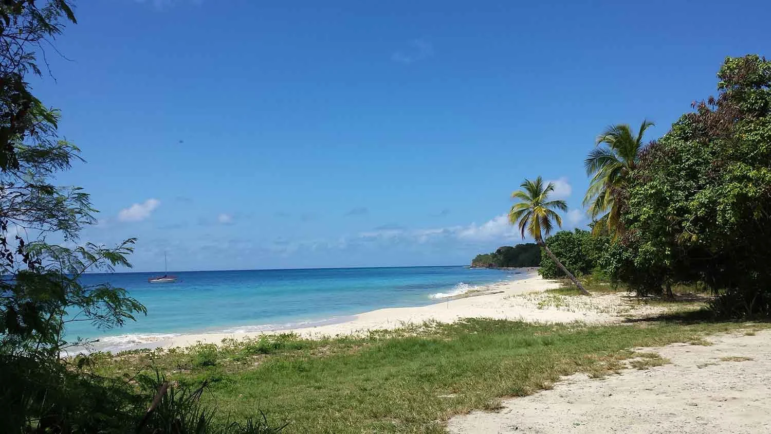 Return To Eden at Plant Medicine Yoga’s Ayurvedic Detox Retreat in St. Croix, USVI