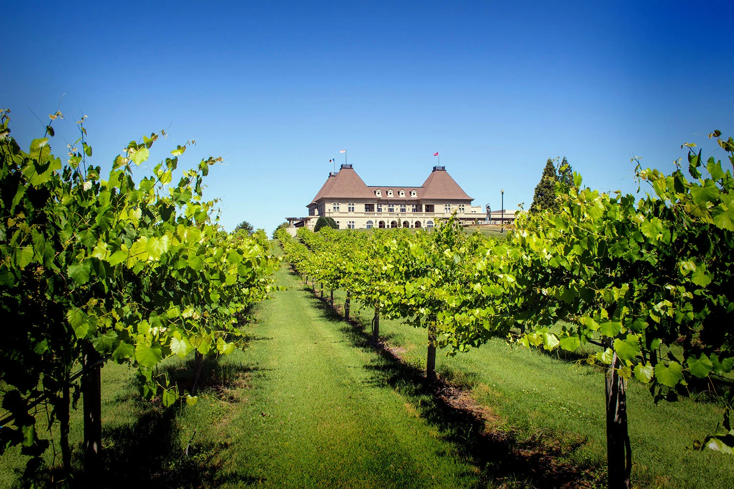 Chateau Elan Winery & Resort.